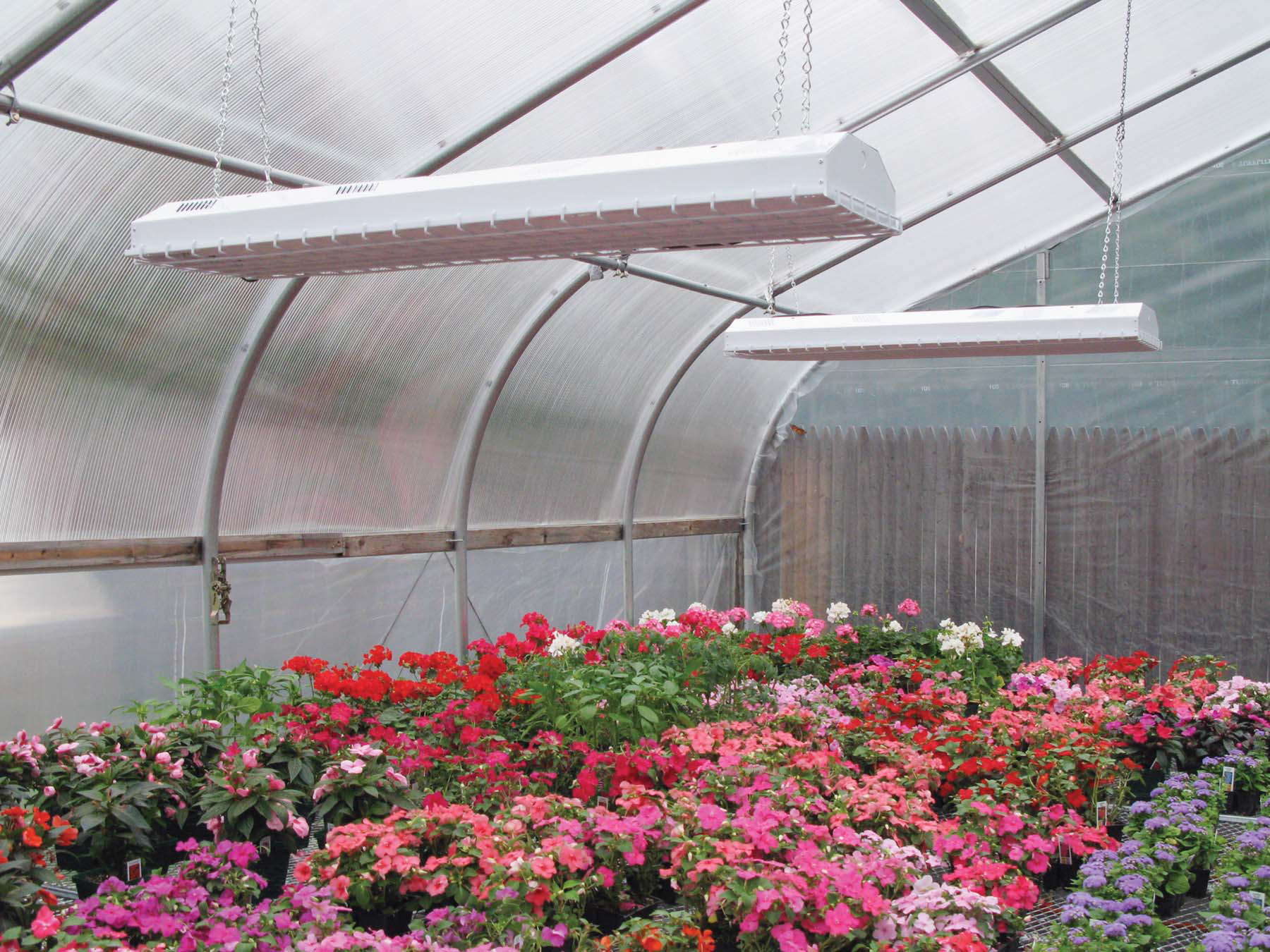 EnergyEfficient Lighting For The Greenhouse Greenhouse Grower