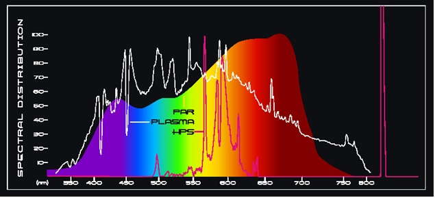 Plasma on sale grow light