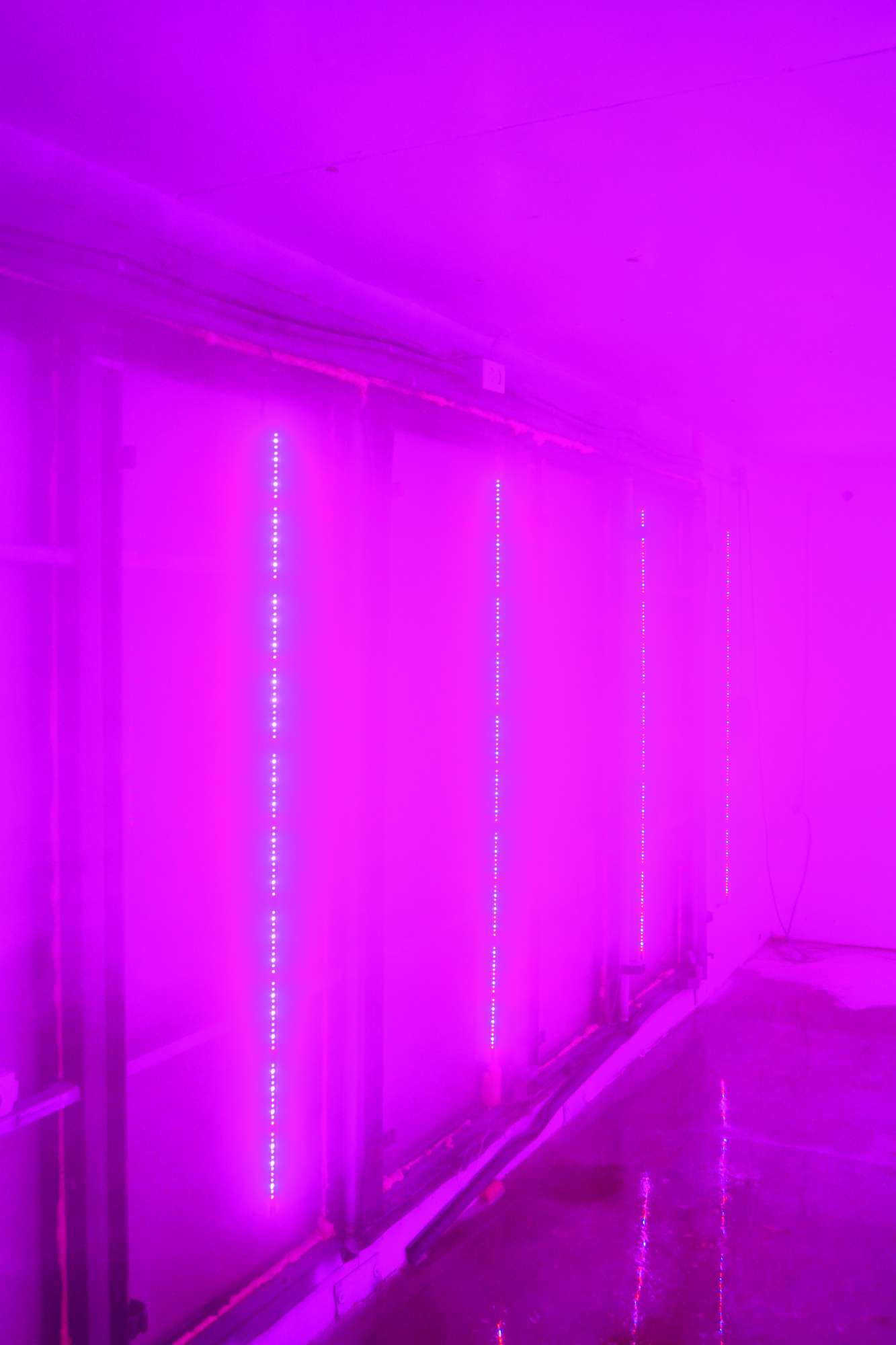 Philips And Green Sense Farms Tailor LED Grow Lights To Specific Crops ...