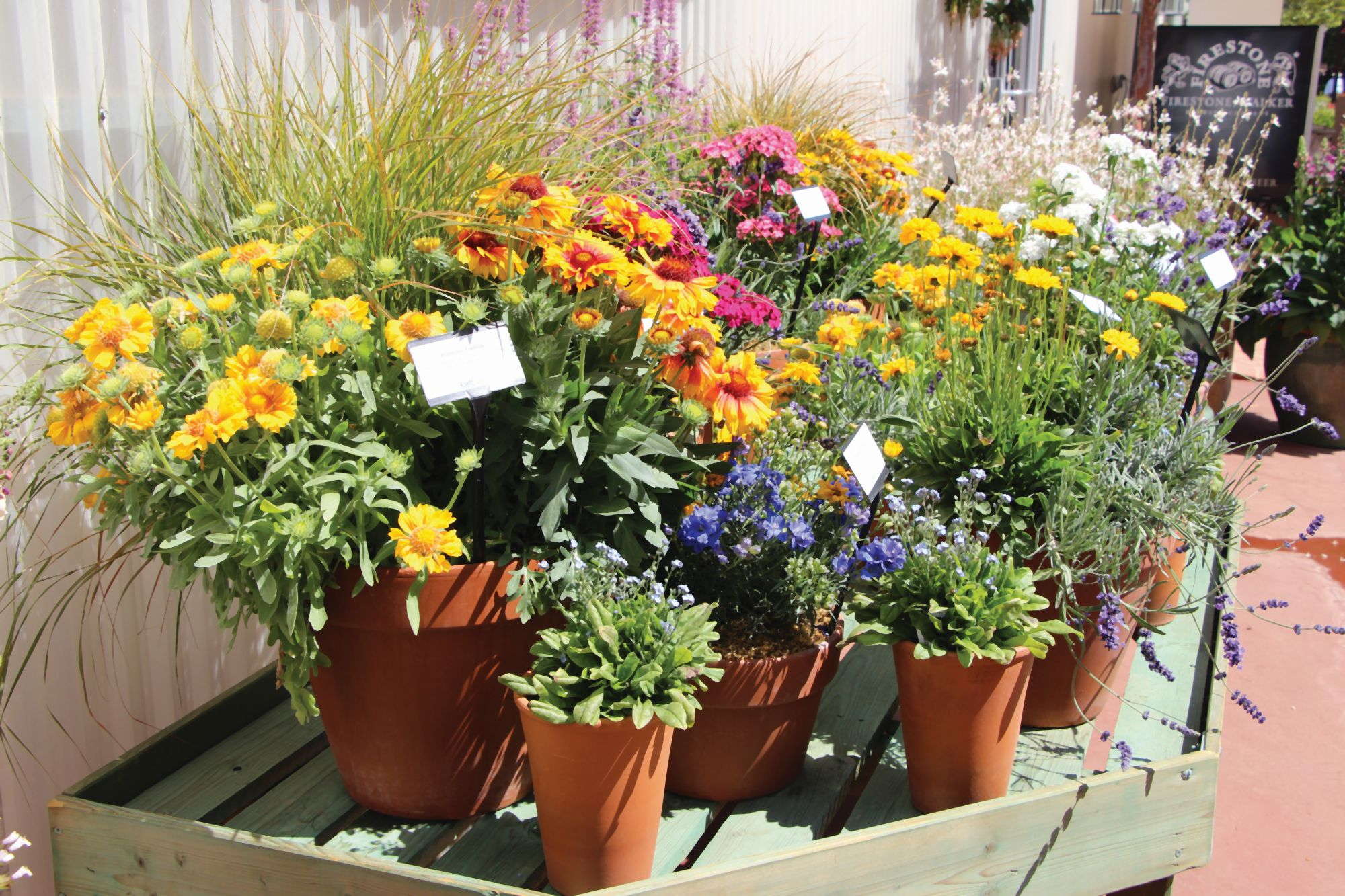Perennial Combination Planters Sell - Greenhouse Grower