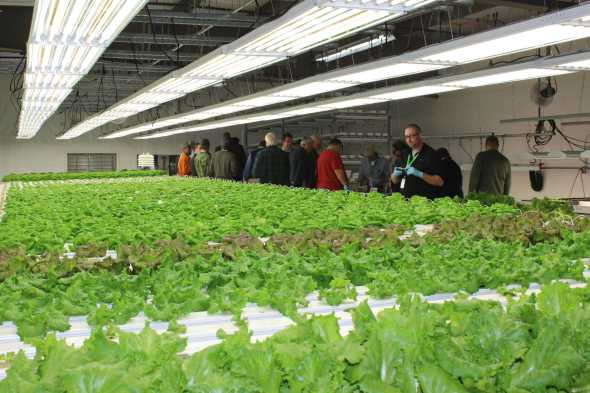 https://www.greenhousegrower.com/wp-content/uploads/2014/12/FarmTek-CEA-school.jpg