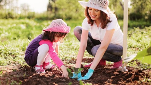 Great News for Horticulture: Home Gardening to Grow in 2021 ...