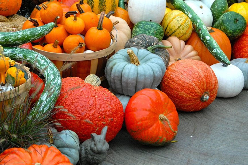 How To Display And Sell More Pumpkins - Greenhouse Grower
