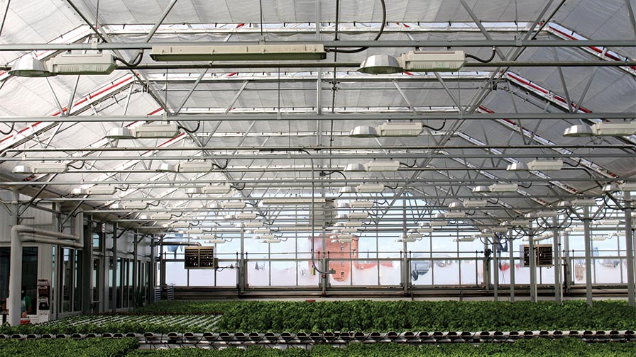 Gotham Greens Expands Into Chicago With New Rooftop Greenhouse