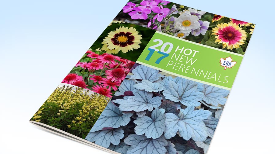 Eason Horticultural Resources Releases New Perennials Guide And Spring