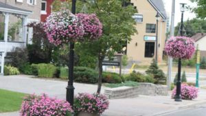 America in Bloom National Award results announced - Nursery Management
