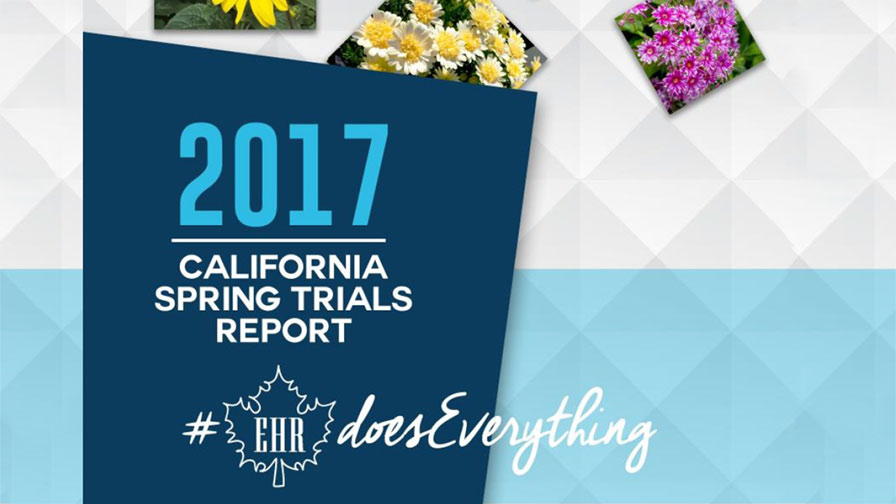 New California Spring Trials Report Now Available From Eason