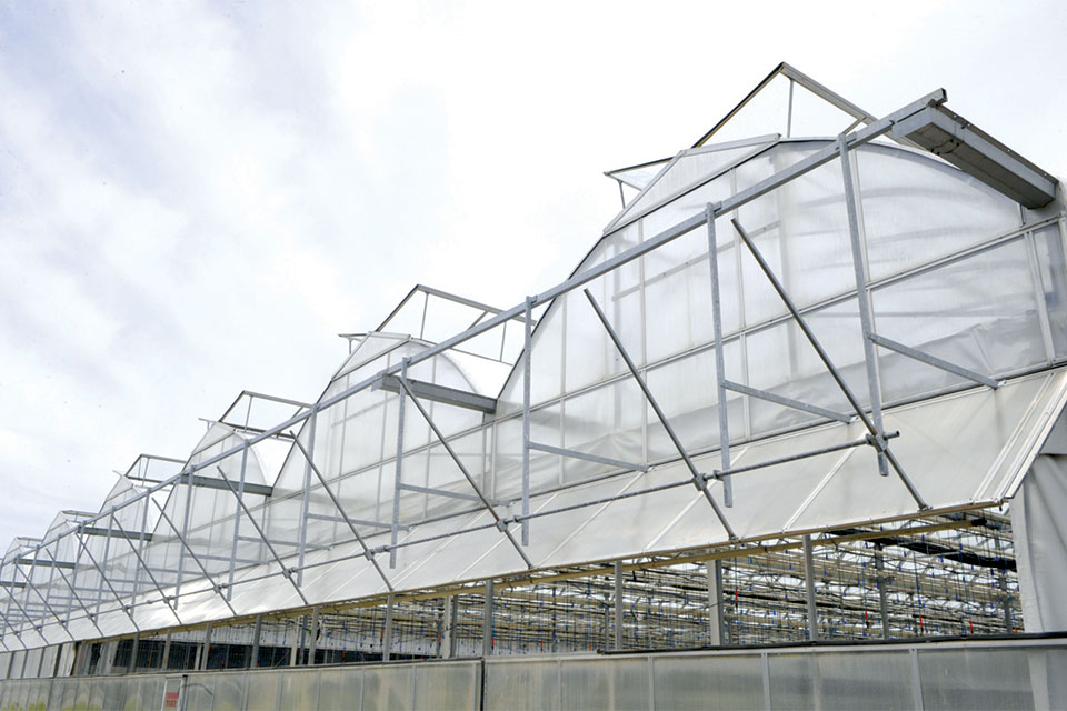 Top 100 Growers Continuing To Invest In New Building Projects 