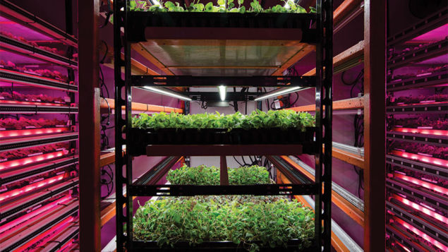 A Look Beyond the Hype of Vertical Farming - Greenhouse Grower