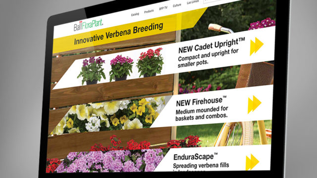 Ball FloraPlant Unveils Redesigned Website - Greenhouse Grower