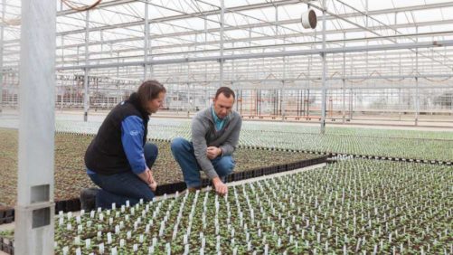 Canadian Peat Moss Harvest Update Looks Promising - Greenhouse Grower