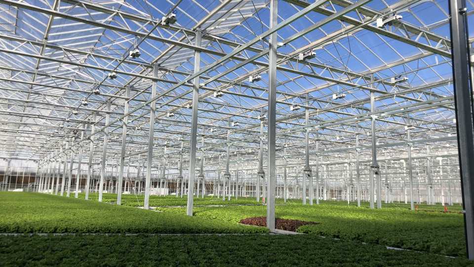 Have You Seen The New Greenhouse Campus In Chicago It S Huge