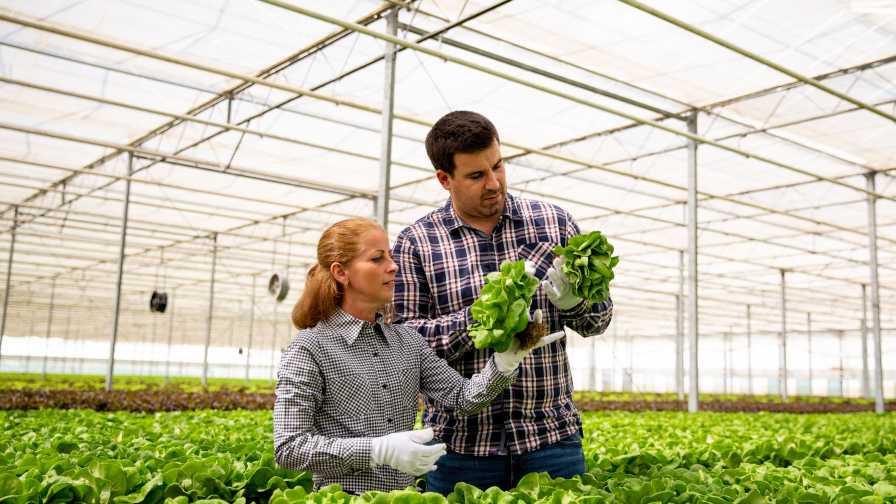 how one greenhouse supplier is raising the bar in plant production greenhouse grower greenhouse grower