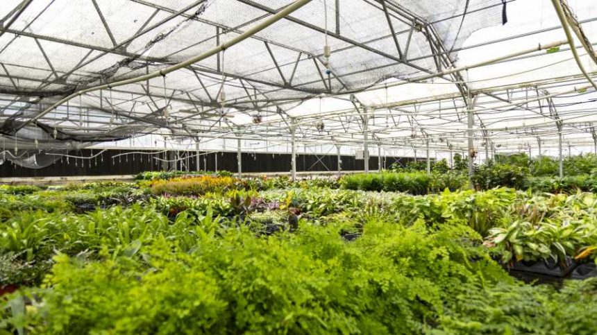 ‘tis The Season: Severe Weather Tips For Your Greenhouse - Greenhouse 