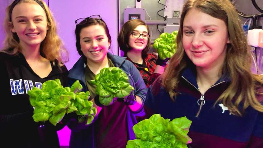 How a Leading Vegetable Grower is Helping Kids Grow Their Own Food ...