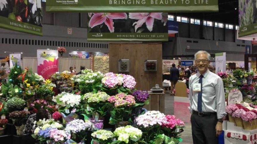 Syngenta Flowers Expands Hydrangea Succulent Offerings Greenhouse Grower 