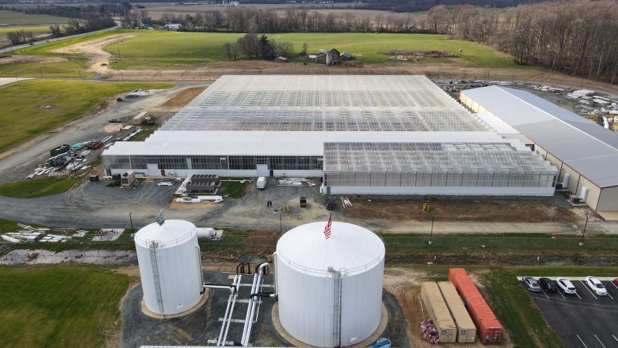 SunMed Growers Acquires Processing License, Plans Future Expansion ...