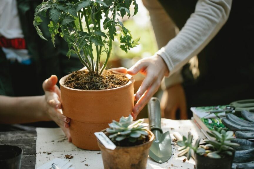 Eight Trends That Will Define the Gardening Industry in 2022 ...
