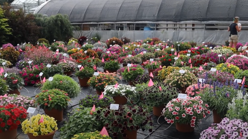 DS Cole Growers Open House Brings Out Top Performers - Greenhouse Grower