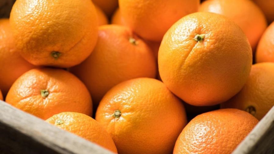 How Orange Oil Is Playing a Bigger Role in Crop Protection - Greenhouse ...