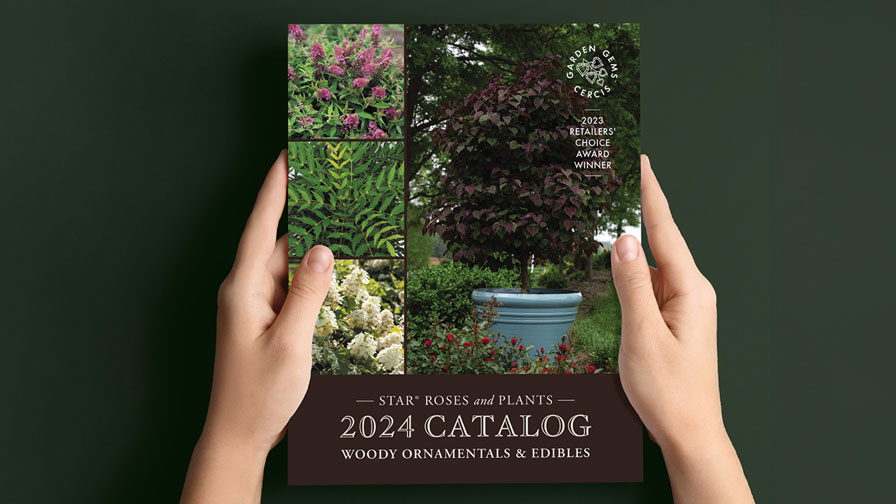 Star Roses Releases 2024 Woody Ornamentals Edibles Catalog   Star Roses 2024 Woody Catalog 