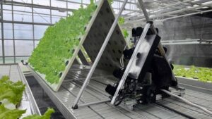 Indoor Farming Pioneer Gotham Greens Is Expanding to North Texas