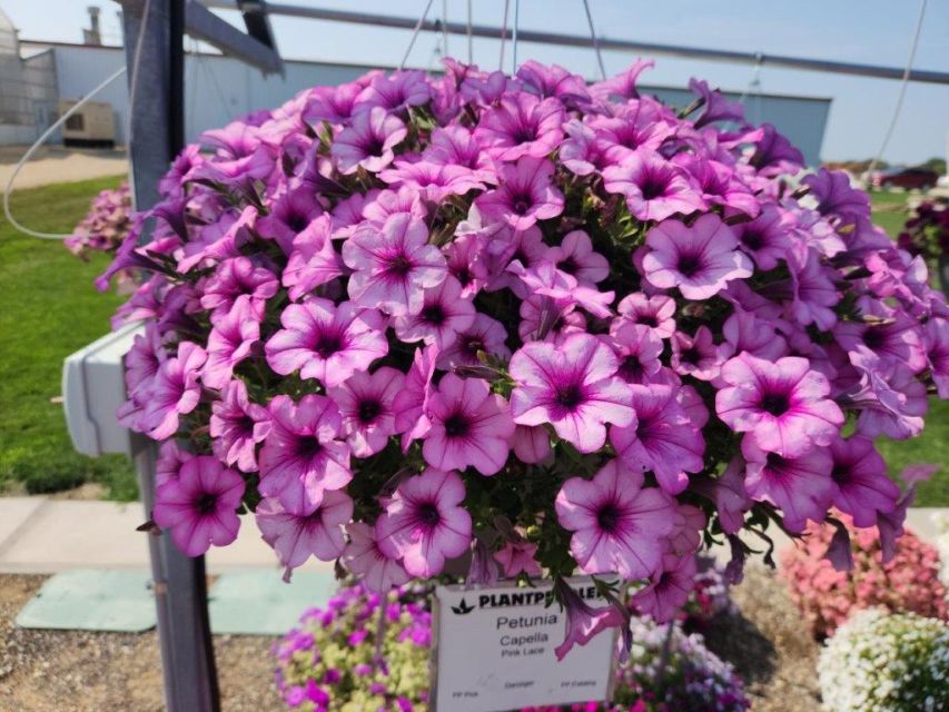 Danziger Unveils New Technical Product Pages - Greenhouse Grower