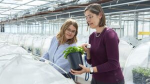 Gotham Greens opens new greenhouse in Monroe, Georgia - Produce Grower