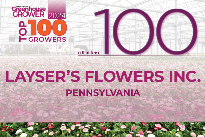 #100: Layser's Flowers Inc.