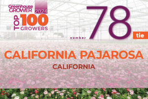 #78 (Tie): California Pajarosa