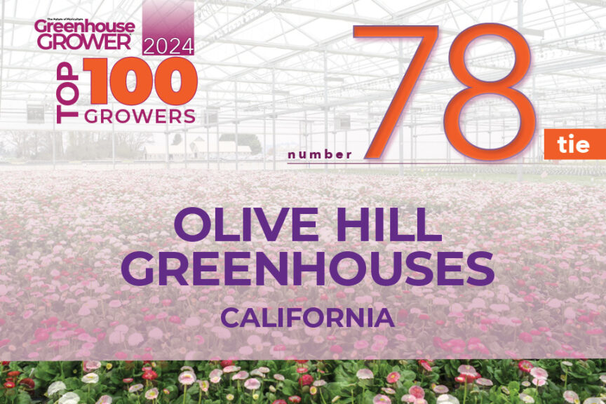 #78 (Tie): Olive Hill Greenhouses