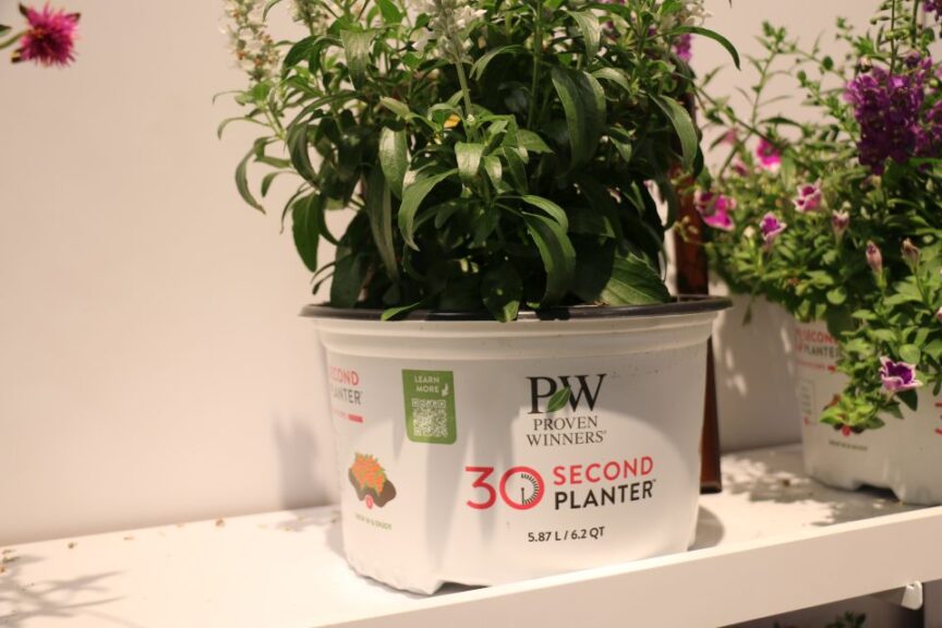 30 Second Planter (Proven Winners)