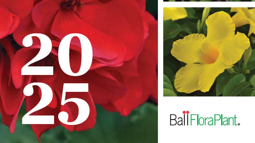 2025 Ball FloraPlant Product Catalog Now Available