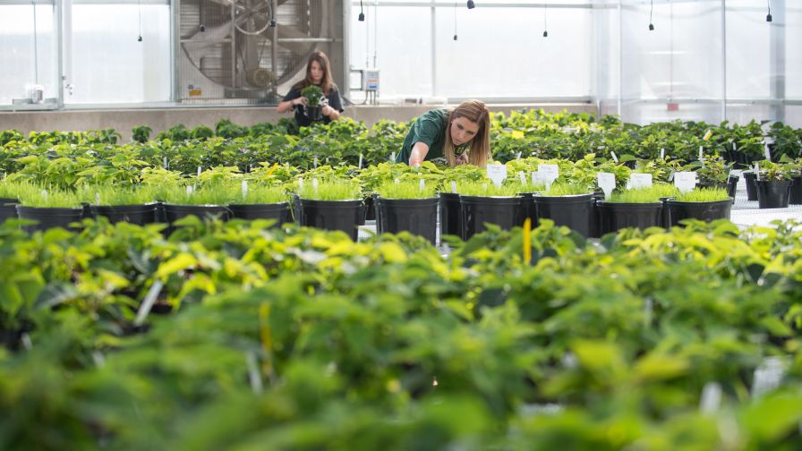 Cover Story: Why There’s a Bright Future in Horticulture Education