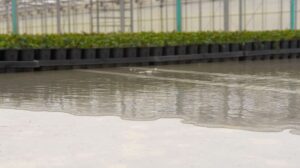 Training and Tools to Save Water in the Greenhouse