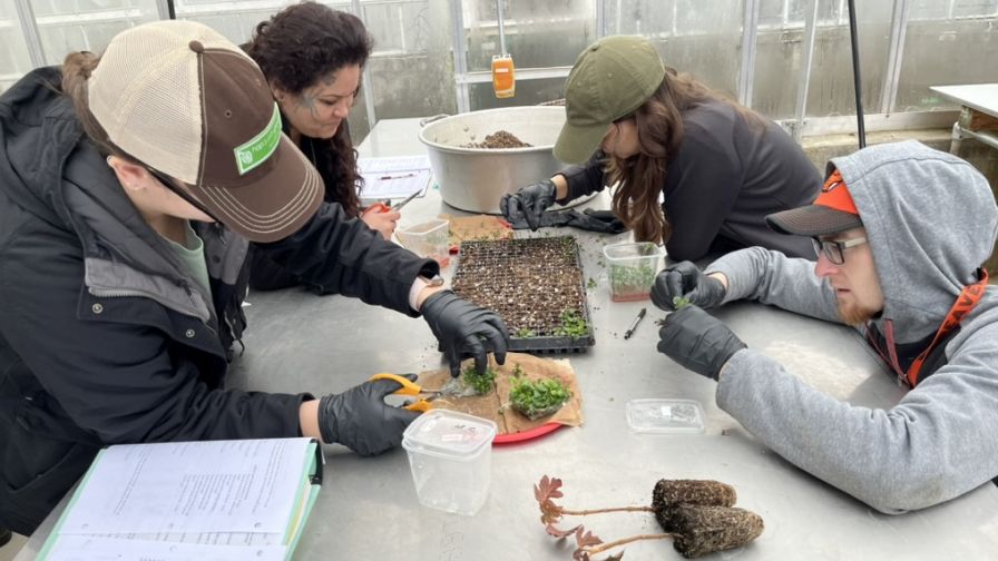 Oregon State Hort Students