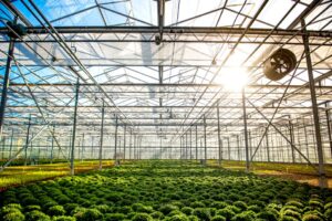 Shading Products to Improve Plant Production