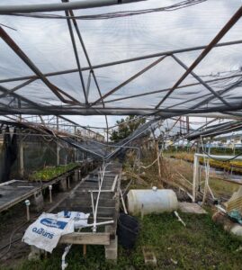  Ralph Taylor's Nurseries, Bradenton, FL