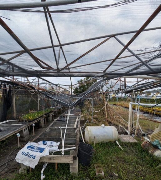  Ralph Taylor's Nurseries, Bradenton, FL