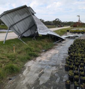  Ralph Taylor's Nurseries, Bradenton, FL