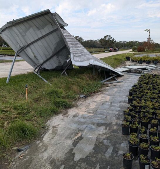  Ralph Taylor's Nurseries, Bradenton, FL