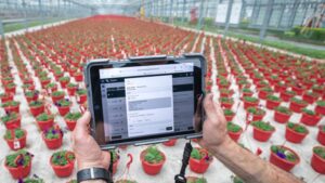 Learn More About Growmentum, Greenhouse Grower’s 2024 Technology of the Year