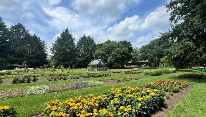 Trial at Massachusetts Horticultural Society