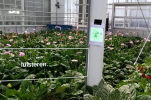 3. Exploring the Opportunities of Augmented Reality in Greenhouses