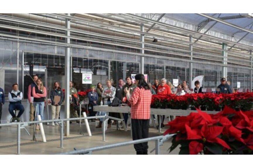 Attendees at Plantpeddler Poinsettia Variety Day 2024