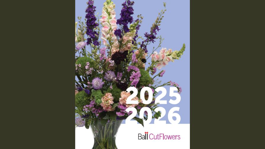 Ball Seed Releases New 20252026 Cut Flowers Catalog