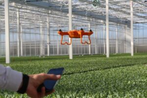 1. How Drones Are Being Used in and Above the Greenhouse