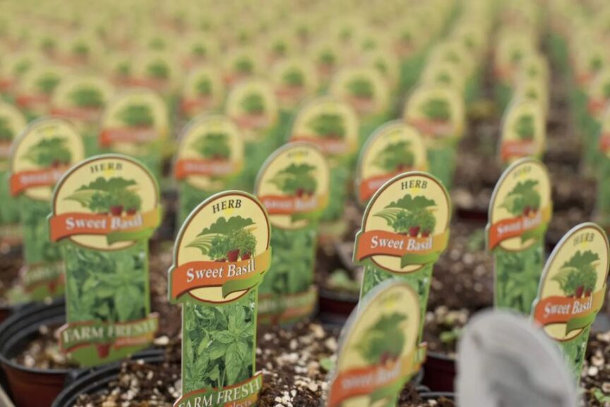 The Top 10 Greenhouse Grower News Stories of 2024