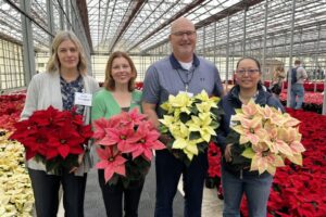 Freya Series red pink white marble at N.G. Heimos Greenhouses and Millstadt Young Plants