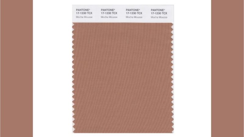 Pantone Announces Its Color Of The Year 2025: Mocha Mousse